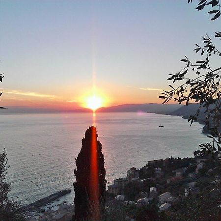 Villetta Sul Mare Camogli Luaran gambar